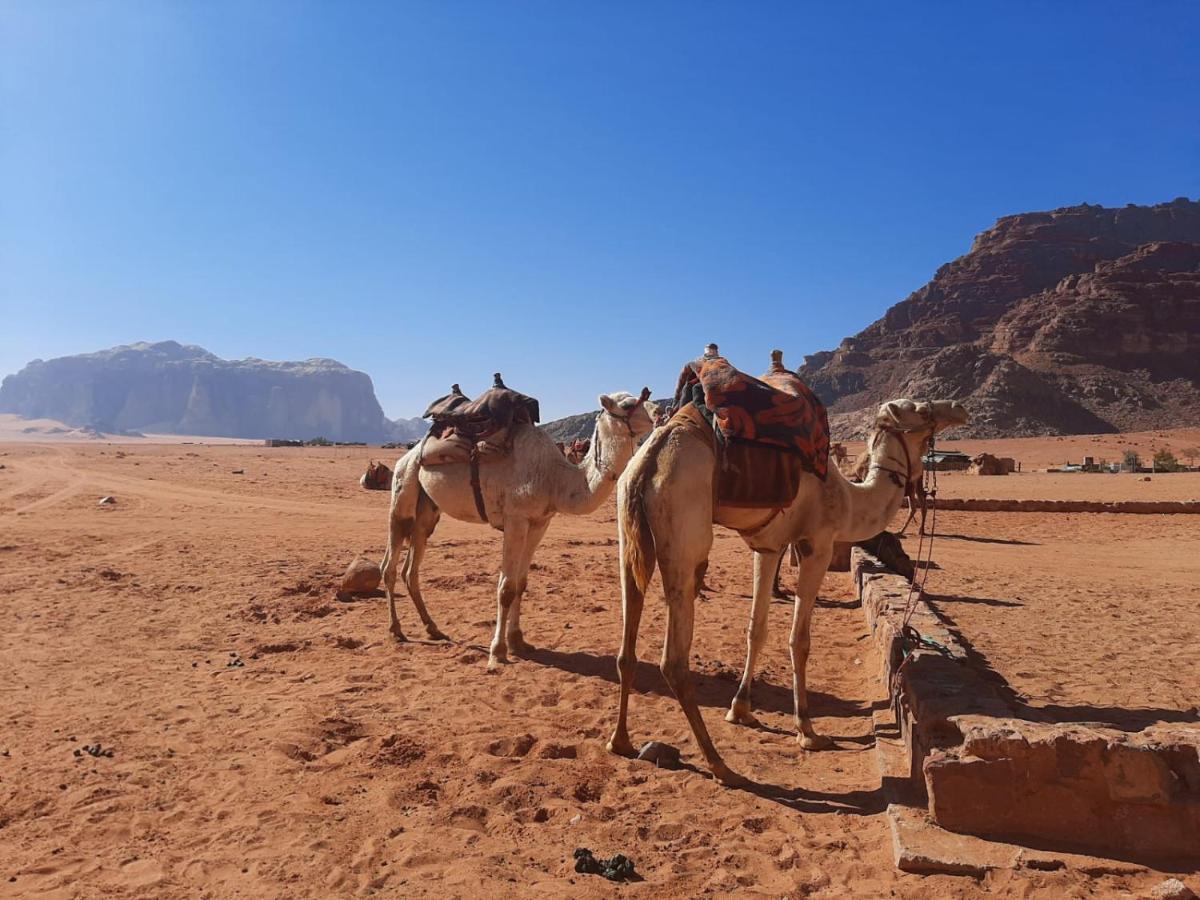 Wadi Rum Secrets Camp Екстериор снимка