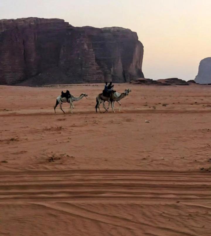 Wadi Rum Secrets Camp Екстериор снимка